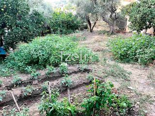 Οικόπεδο 421 τ.μ. για πώληση, Αχαΐα, Παραλία-thumb-2