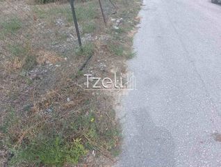 Οικόπεδο 511 τ.μ. για πώληση, Αχαΐα, Μεσσατίδα-thumb-15