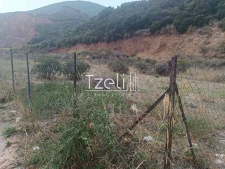 Οικόπεδο 511 τ.μ. για πώληση, Αχαΐα, Μεσσατίδα-thumb-22