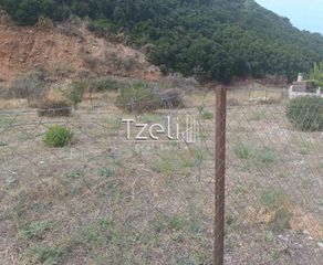 Οικόπεδο 511 τ.μ. για πώληση, Αχαΐα, Μεσσατίδα-thumb-19