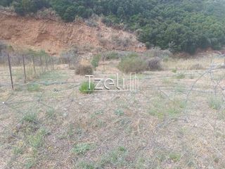 Οικόπεδο 511 τ.μ. για πώληση, Αχαΐα, Μεσσατίδα-thumb-7