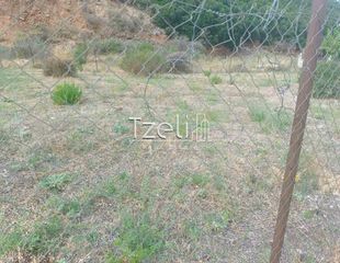 Οικόπεδο 511 τ.μ. για πώληση, Αχαΐα, Μεσσατίδα-thumb-28