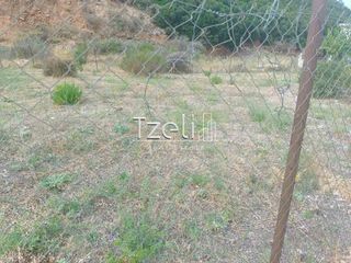Οικόπεδο 511 τ.μ. για πώληση, Αχαΐα, Μεσσατίδα-thumb-9