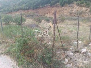 Οικόπεδο 511 τ.μ. για πώληση, Αχαΐα, Μεσσατίδα-thumb-18
