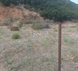 Οικόπεδο 511 τ.μ. για πώληση, Αχαΐα, Μεσσατίδα-thumb-11