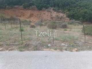 Οικόπεδο 511 τ.μ. για πώληση, Αχαΐα, Μεσσατίδα-thumb-10