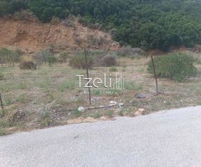 Οικόπεδο 511 τ.μ. για πώληση, Αχαΐα, Μεσσατίδα-thumb-3