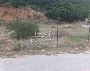 Οικόπεδο 511 τ.μ. για πώληση, Αχαΐα, Μεσσατίδα-thumb-23