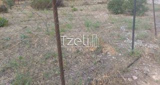 Οικόπεδο 511 τ.μ. για πώληση, Αχαΐα, Μεσσατίδα-thumb-24