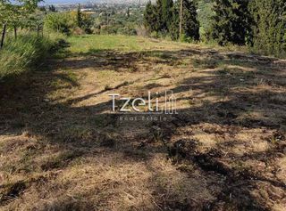 Αγροτεμάχια 977 τ.μ. για πώληση, Αχαΐα, Παραλία-thumb-14