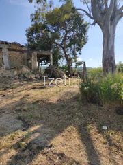 Αγροτεμάχια 977 τ.μ. για πώληση, Αχαΐα, Παραλία-thumb-7