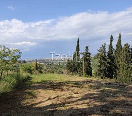 Αγροτεμάχια 977 τ.μ. για πώληση, Αχαΐα, Παραλία-thumb-15
