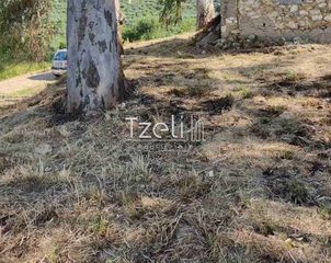 Αγροτεμάχια 977 τ.μ. για πώληση, Αχαΐα, Παραλία-thumb-28