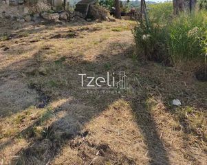 Αγροτεμάχια 977 τ.μ. για πώληση, Αχαΐα, Παραλία-thumb-23