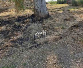 Αγροτεμάχια 977 τ.μ. για πώληση, Αχαΐα, Παραλία-thumb-27