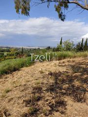 Αγροτεμάχια 977 τ.μ. για πώληση, Αχαΐα, Παραλία-thumb-4