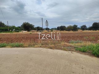 Αγροτεμάχια 3.622 τ.μ. για πώληση