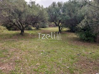 Οικόπεδο 692 τ.μ. για πώληση, Αχαΐα, Μεσσατίδα-thumb-5