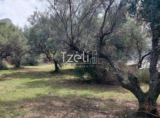 Οικόπεδο 692 τ.μ. για πώληση, Αχαΐα, Μεσσατίδα-thumb-1