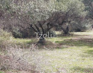 Οικόπεδο 692 τ.μ. για πώληση, Αχαΐα, Μεσσατίδα-thumb-17