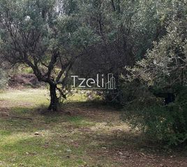Οικόπεδο 692 τ.μ. για πώληση, Αχαΐα, Μεσσατίδα-thumb-11