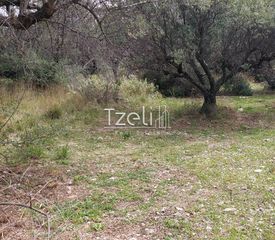 Οικόπεδο 692 τ.μ. για πώληση, Αχαΐα, Μεσσατίδα-thumb-14