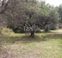 Οικόπεδο 692 τ.μ. για πώληση, Αχαΐα, Μεσσατίδα-thumb-7