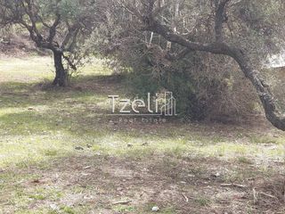 Οικόπεδο 692 τ.μ. για πώληση, Αχαΐα, Μεσσατίδα-thumb-4