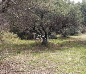 Οικόπεδο 692 τ.μ. για πώληση, Αχαΐα, Μεσσατίδα-thumb-21