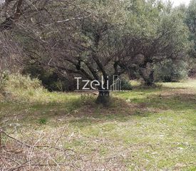 Οικόπεδο 692 τ.μ. για πώληση, Αχαΐα, Μεσσατίδα-thumb-22