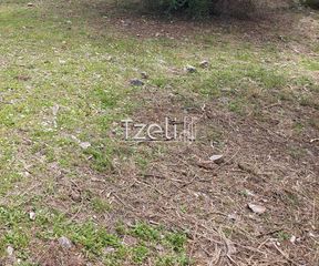 Οικόπεδο 692 τ.μ. για πώληση, Αχαΐα, Μεσσατίδα-thumb-6