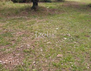 Οικόπεδο 692 τ.μ. για πώληση, Αχαΐα, Μεσσατίδα-thumb-25