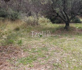 Οικόπεδο 692 τ.μ. για πώληση, Αχαΐα, Μεσσατίδα-thumb-26