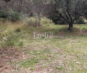 Οικόπεδο 692 τ.μ. για πώληση, Αχαΐα, Μεσσατίδα-thumb-10