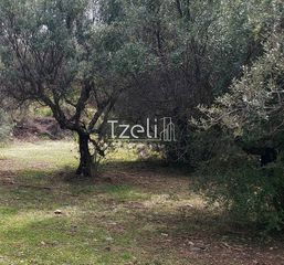 Οικόπεδο 692 τ.μ. για πώληση, Αχαΐα, Μεσσατίδα-thumb-23