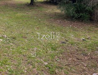 Οικόπεδο 692 τ.μ. για πώληση, Αχαΐα, Μεσσατίδα-thumb-28