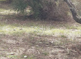Οικόπεδο 692 τ.μ. για πώληση, Αχαΐα, Μεσσατίδα-thumb-12