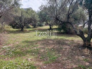 Οικόπεδο 692 τ.μ. για πώληση