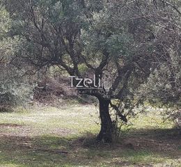 Οικόπεδο 692 τ.μ. για πώληση, Αχαΐα, Μεσσατίδα-thumb-15