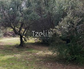 Οικόπεδο 692 τ.μ. για πώληση, Αχαΐα, Μεσσατίδα-thumb-3