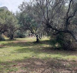 Οικόπεδο 692 τ.μ. για πώληση, Αχαΐα, Μεσσατίδα-thumb-27