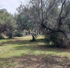 Οικόπεδο 692 τ.μ. για πώληση, Αχαΐα, Μεσσατίδα-thumb-19