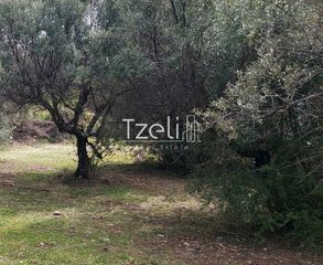 Οικόπεδο 500 τ.μ. για πώληση, Αχαΐα, Πάτρα-thumb-11