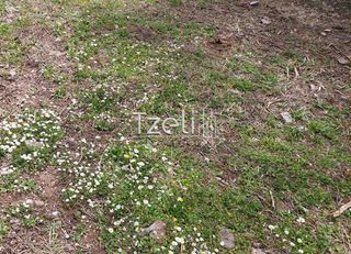 Οικόπεδο 500 τ.μ. για πώληση, Αχαΐα, Πάτρα-thumb-24