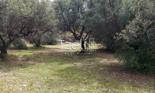 Οικόπεδο 1.680 τ.μ. για πώληση, Αχαΐα, Πάτρα-thumb-20