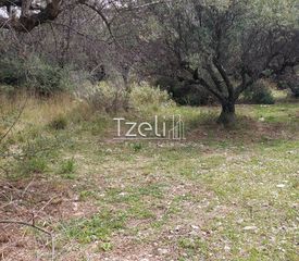 Οικόπεδο 1.680 τ.μ. για πώληση, Αχαΐα, Πάτρα-thumb-23