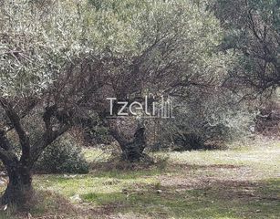 Οικόπεδο 1.680 τ.μ. για πώληση, Αχαΐα, Πάτρα-thumb-29