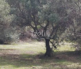 Οικόπεδο 1.680 τ.μ. για πώληση, Αχαΐα, Πάτρα-thumb-28