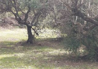 Οικόπεδο 1.680 τ.μ. για πώληση, Αχαΐα, Πάτρα-thumb-16