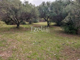 Οικόπεδο 1.680 τ.μ. για πώληση